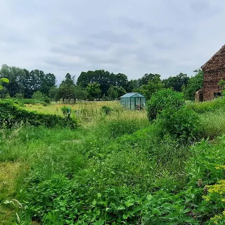 Luna Dom wakacyjny Drahnsdorf