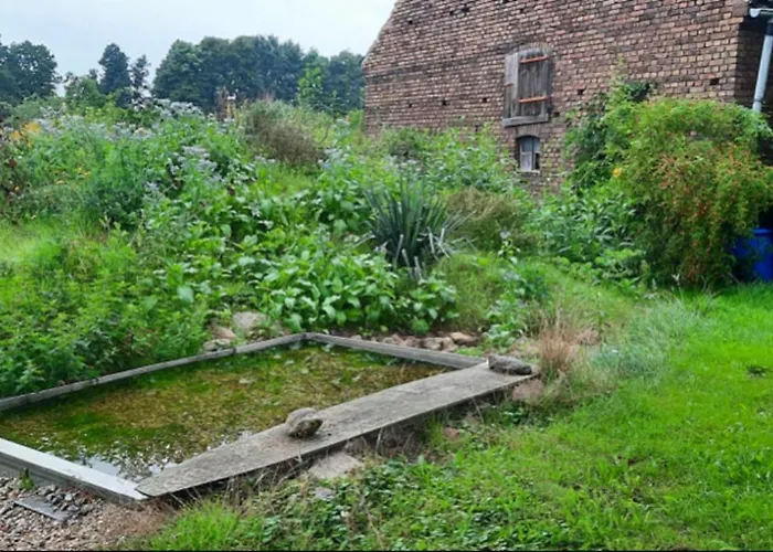 Luna Сasa de vacaciones